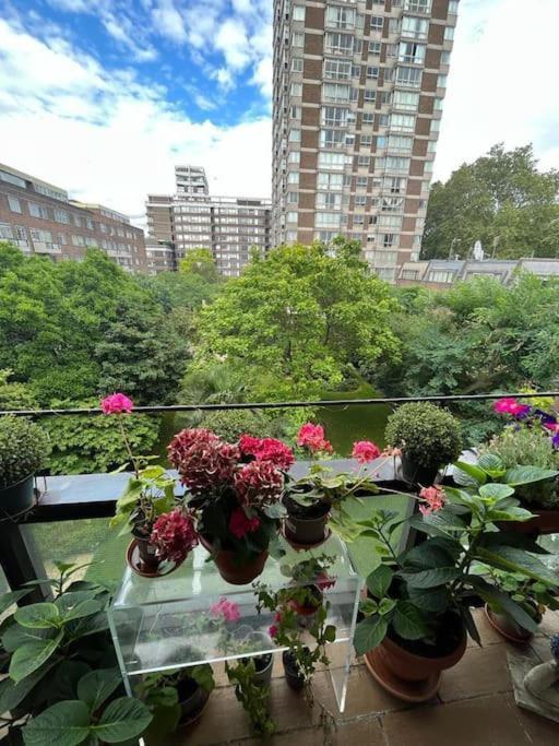 3 Bed 2 Bathroom Spacious Paddington Londra